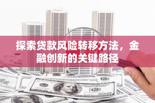 沙依巴克探索贷款风险转移方法，金融创新的关键路径