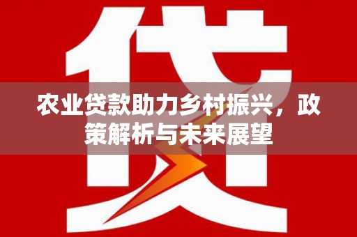 沙依巴克农业贷款助力乡村振兴，政策解析与未来展望