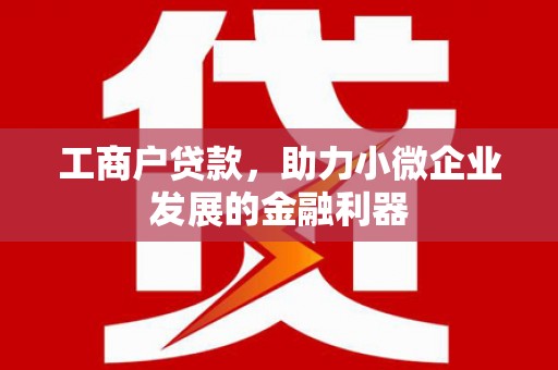 沙依巴克工商户贷款，助力小微企业发展的金融利器