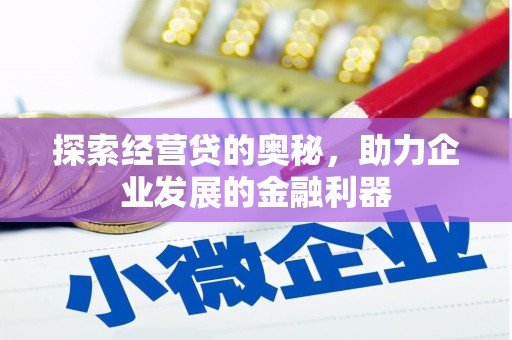 沙依巴克探索经营贷的奥秘，助力企业发展的金融利器