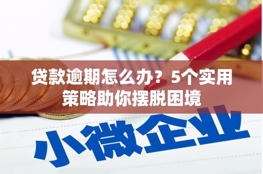 沙依巴克贷款逾期怎么办？5个实用策略助你摆脱困境