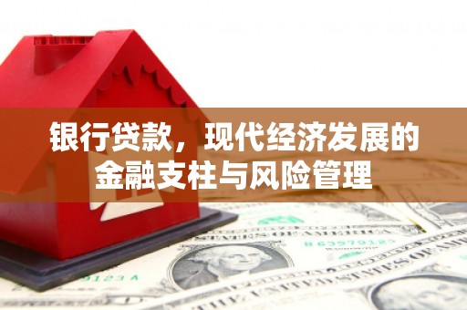 沙依巴克银行贷款，现代经济发展的金融支柱与风险管理