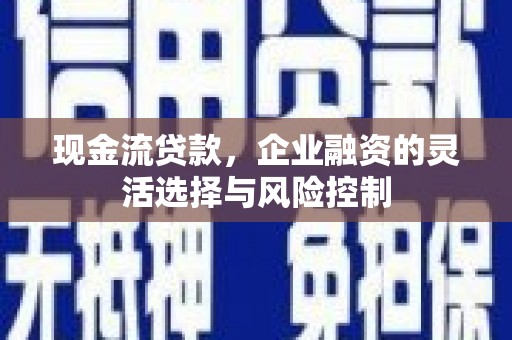 沙依巴克现金流贷款，企业融资的灵活选择与风险控制