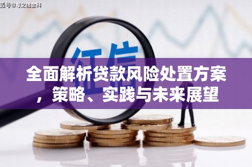 沙依巴克全面解析贷款风险处置方案，策略、实践与未来展望