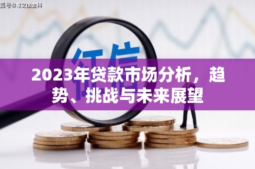沙依巴克2023年贷款市场分析，趋势、挑战与未来展望