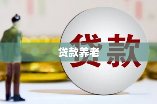 沙依巴克贷款养老