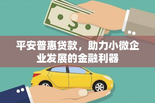 沙依巴克平安普惠贷款，助力小微企业发展的金融利器