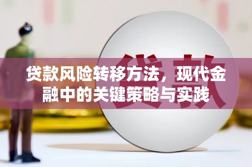 沙依巴克贷款风险转移方法，现代金融中的关键策略与实践