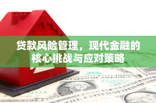 沙依巴克贷款风险管理，现代金融的核心挑战与应对策略