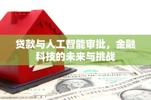 沙依巴克贷款与人工智能审批，金融科技的未来与挑战