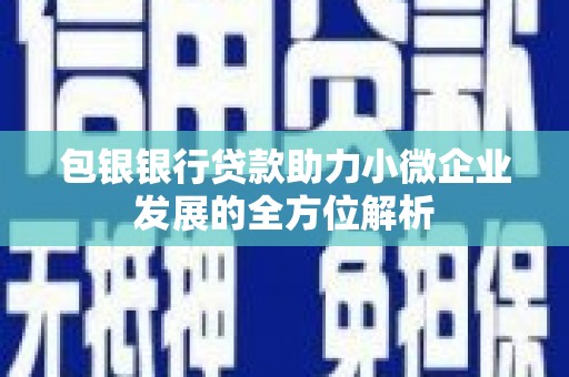 沙依巴克包银银行贷款助力小微企业发展的全方位解析