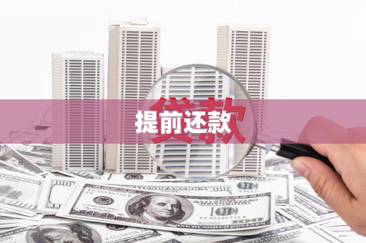 沙依巴克提前还款