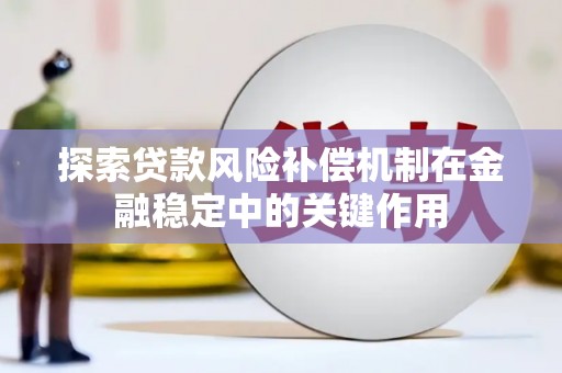 沙依巴克探索贷款风险补偿机制在金融稳定中的关键作用