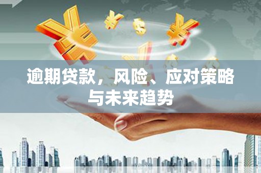 沙依巴克逾期贷款，风险、应对策略与未来趋势