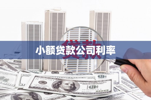 沙依巴克小额贷款公司利率