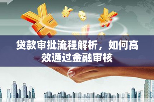 沙依巴克贷款审批流程解析，如何高效通过金融审核
