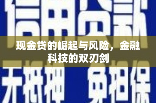沙依巴克现金贷的崛起与风险，金融科技的双刃剑