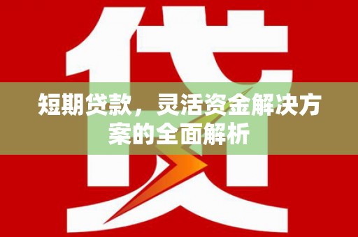 沙依巴克短期贷款，灵活资金解决方案的全面解析