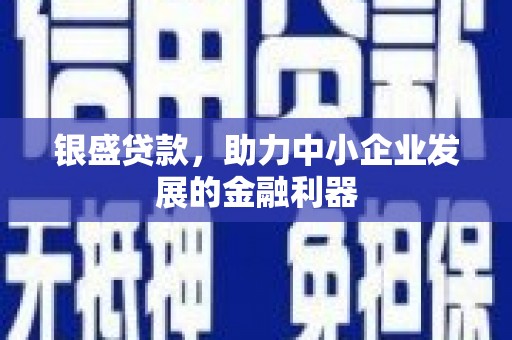 沙依巴克银盛贷款，助力中小企业发展的金融利器