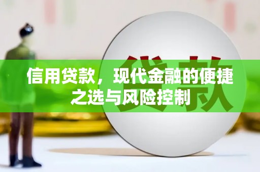 沙依巴克信用贷款，现代金融的便捷之选与风险控制