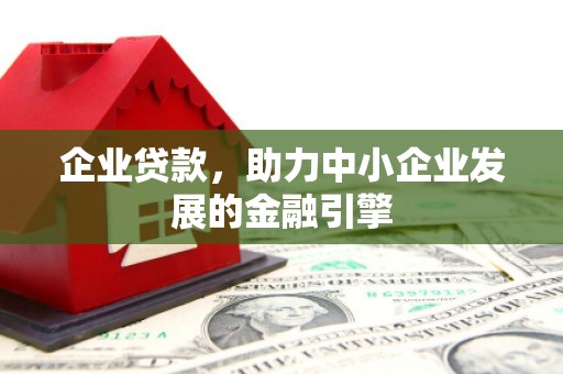 沙依巴克企业贷款，助力中小企业发展的金融引擎