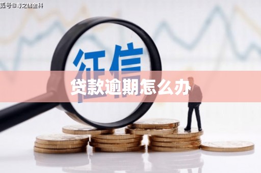沙依巴克贷款逾期怎么办