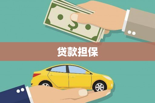 沙依巴克贷款担保