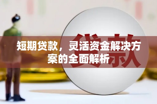 沙依巴克短期贷款，灵活资金解决方案的全面解析