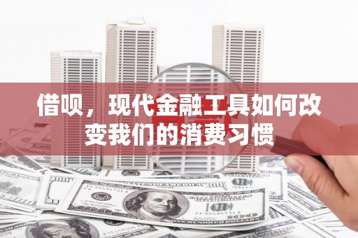 沙依巴克借呗，现代金融工具如何改变我们的消费习惯