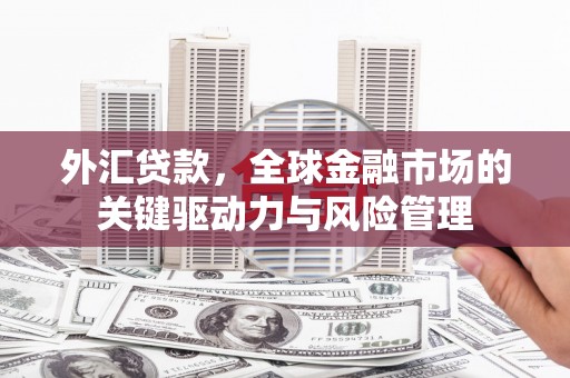 沙依巴克外汇贷款，全球金融市场的关键驱动力与风险管理