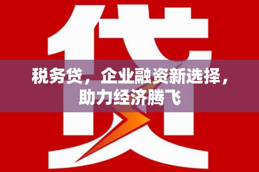 沙依巴克税务贷，企业融资新选择，助力经济腾飞