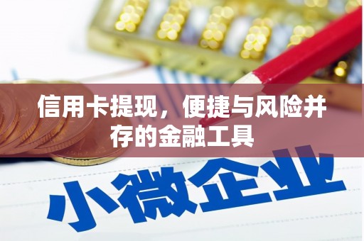沙依巴克信用卡提现，便捷与风险并存的金融工具