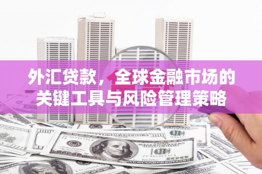 沙依巴克外汇贷款，全球金融市场的关键工具与风险管理策略