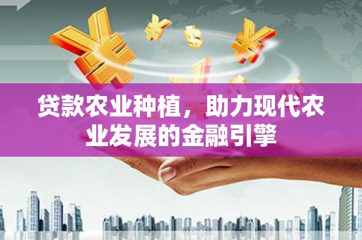 沙依巴克贷款农业种植，助力现代农业发展的金融引擎