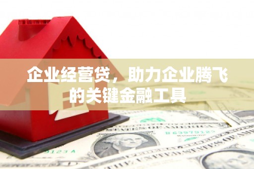 沙依巴克企业经营贷，助力企业腾飞的关键金融工具