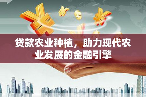 沙依巴克贷款农业种植，助力现代农业发展的金融引擎