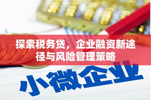 沙依巴克探索税务贷，企业融资新途径与风险管理策略