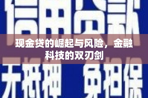 沙依巴克现金贷的崛起与风险，金融科技的双刃剑
