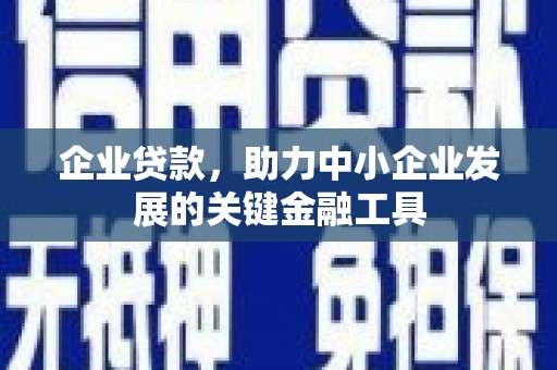 沙依巴克企业贷款，助力中小企业发展的关键金融工具