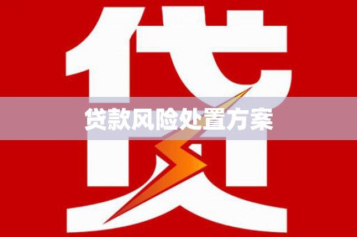 沙依巴克贷款风险处置方案