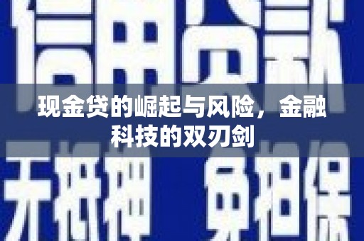 沙依巴克现金贷的崛起与风险，金融科技的双刃剑