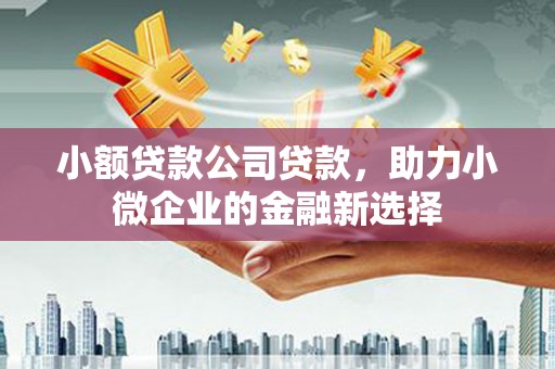 沙依巴克小额贷款公司贷款，助力小微企业的金融新选择