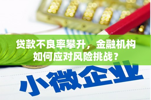 沙依巴克贷款不良率攀升，金融机构如何应对风险挑战？