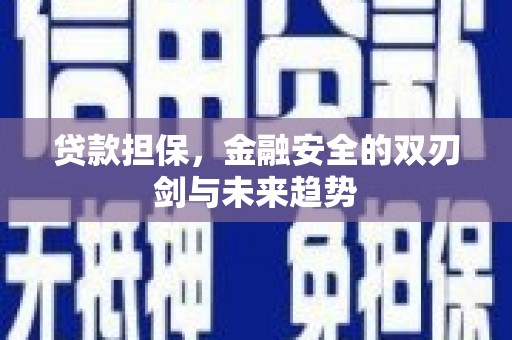 沙依巴克贷款担保，金融安全的双刃剑与未来趋势