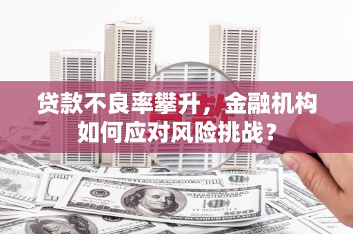 沙依巴克贷款不良率攀升，金融机构如何应对风险挑战？