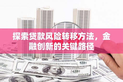 沙依巴克探索贷款风险转移方法，金融创新的关键路径