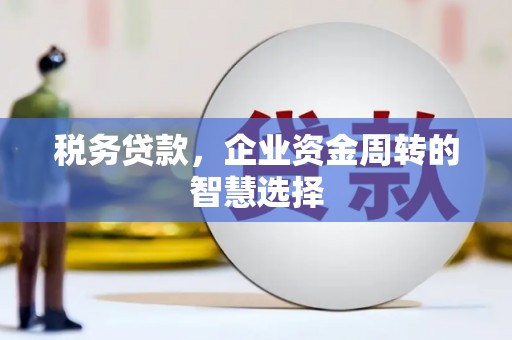 沙依巴克税务贷款，企业资金周转的智慧选择