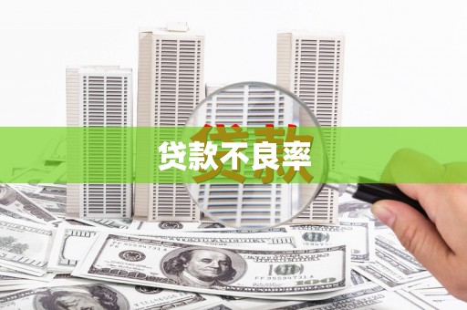 沙依巴克贷款不良率
