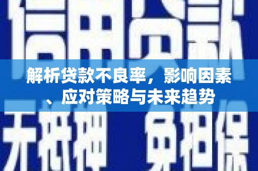 沙依巴克解析贷款不良率，影响因素、应对策略与未来趋势