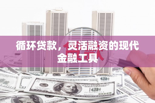 沙依巴克循环贷款，灵活融资的现代金融工具